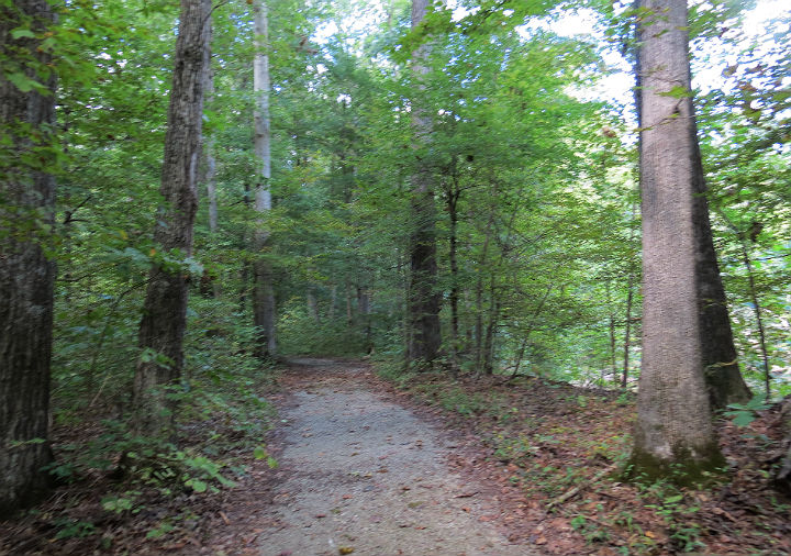 Snake Road